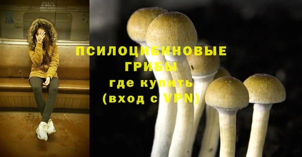 твердый Алзамай