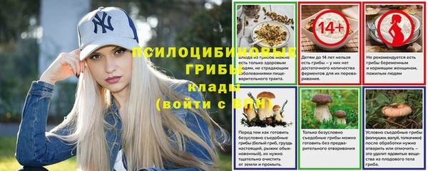 марки nbome Дмитриев