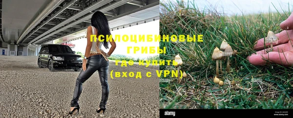 MESCALINE Карпинск