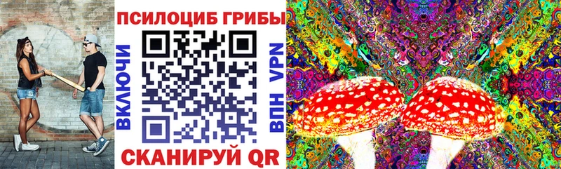 Псилоцибиновые грибы GOLDEN TEACHER  hydra ONION  Ярцево 